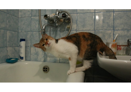 Запрет на установку бойлеров в Украине: миф или реальность